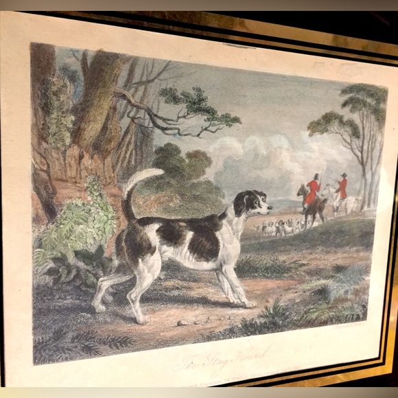Framed Etching Antique Hunting Scene with Dog German Short-Haired. Gorgeous! - Picture 4 of 8